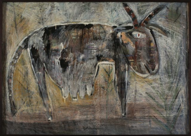 Cow